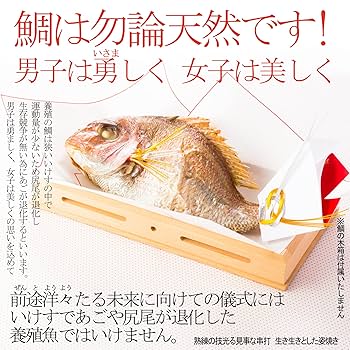 まるお　100日祝いセット imgrc0162393669.jpg?fitin=272:272